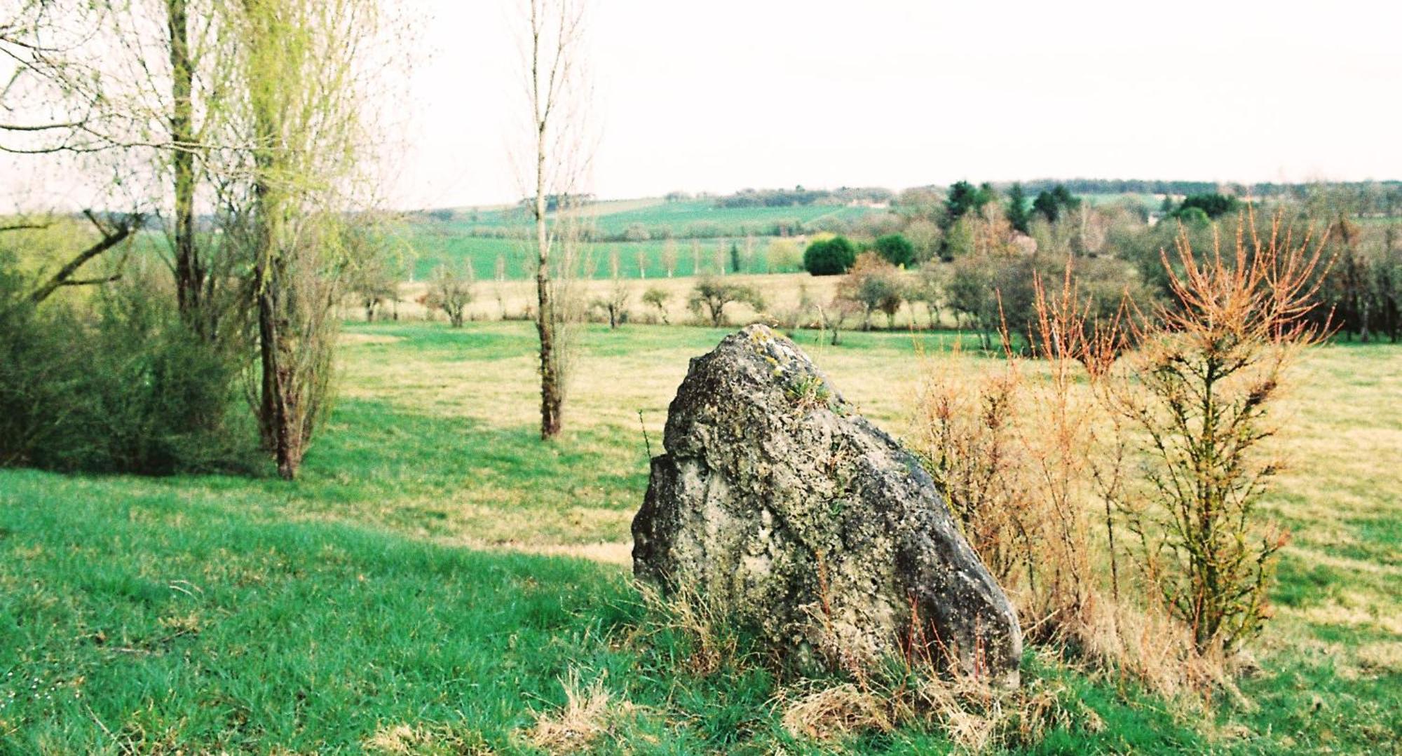 Les Bertaulieres Bed & Breakfast Bossay-sur-Claise Bagian luar foto